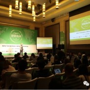 程序化广告迅速崛起 舜飞科技技术创新驱动企业营销