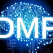 收藏｜DMP最全答疑（上）